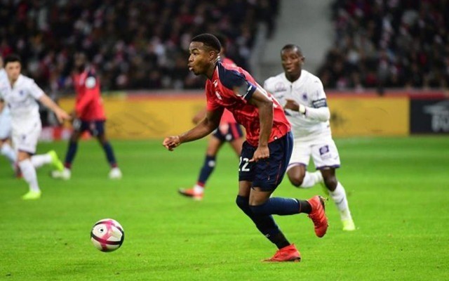 清晰的视野 清晰的视野