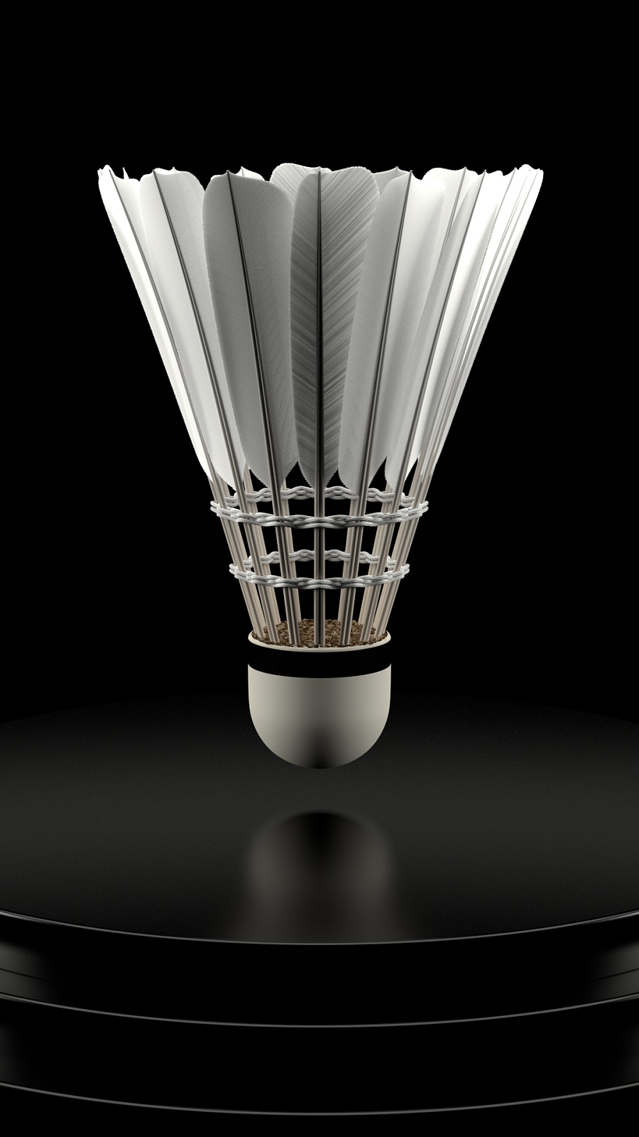 场上的呐喊 场上的呐喊