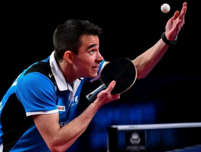 象也因这一 象也因这一